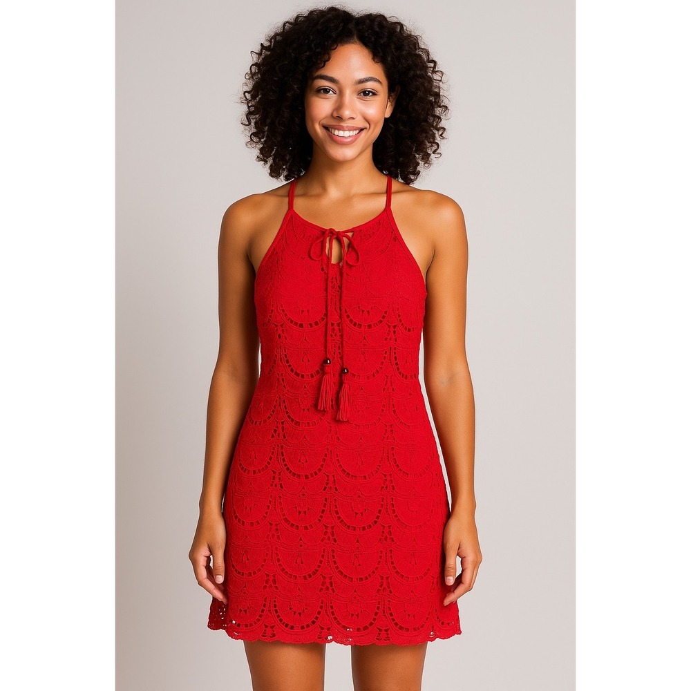 Small Lily Rose‎ Red Lace Dress Mini Spaghetti Strap Lace Overlay Fringe Tassles